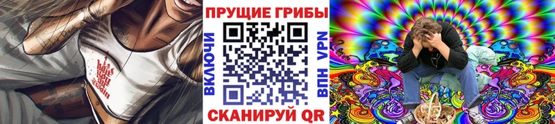 Псилоцибиновые грибы Cubensis  Кувшиново 