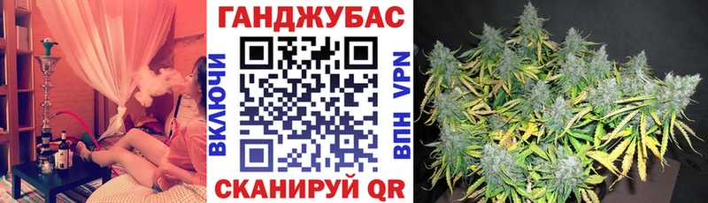 где найти Кувшиново МАРИХУАНА марихуана